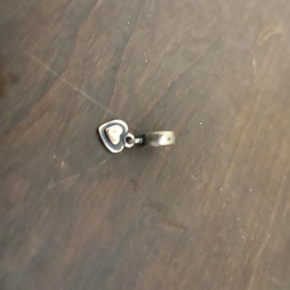 Pandora Charms - Picture 3 of 8
